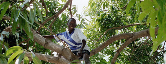 gathering our fruit